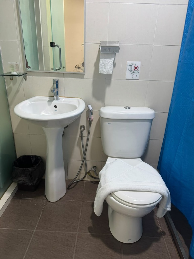 Salim Inn bathroom with shower curtain, pedestal sink and bidet sprayer