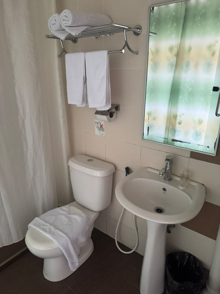 Salim Inn bathroom with pedestal sink and frosted window