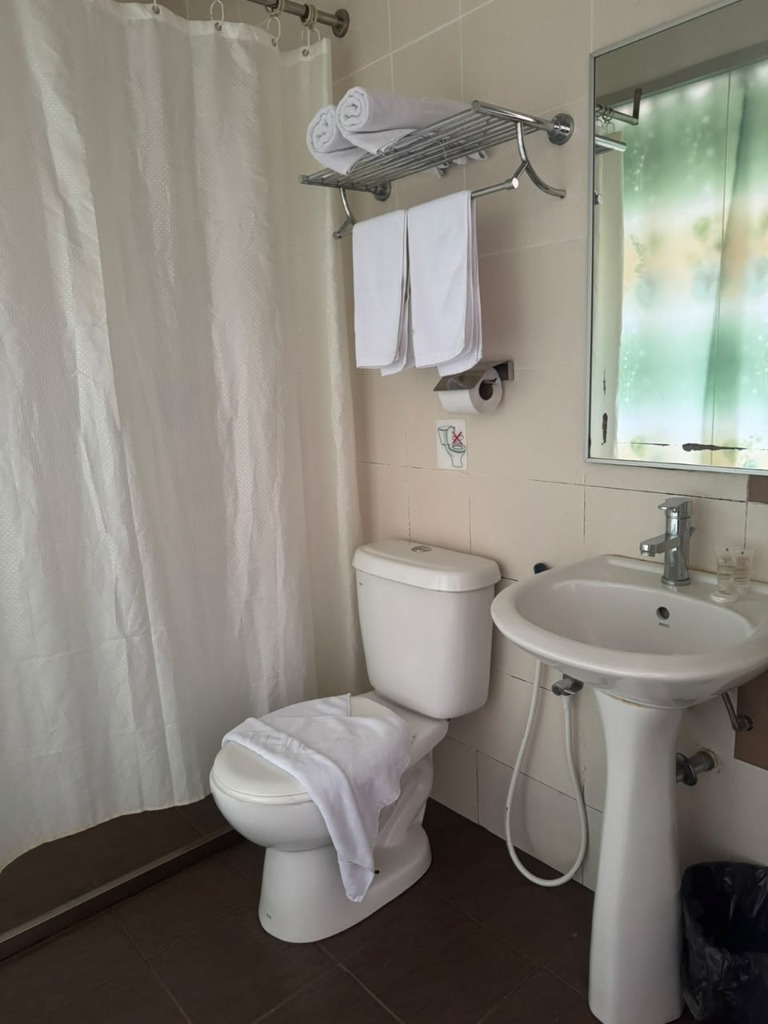 Salim Inn bathroom with fresh towels on a chrome rack above the toilet